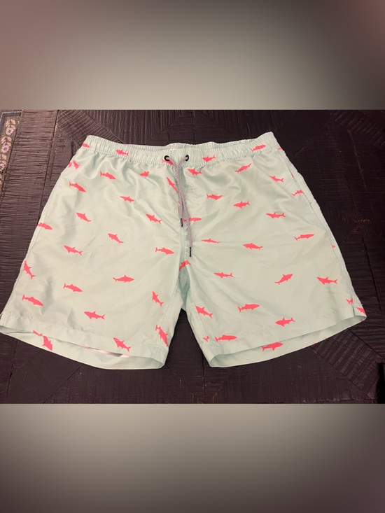 Magic Other - Maagic Men’s Mint Swim Trunks with Coral Shark Accents Size XXL